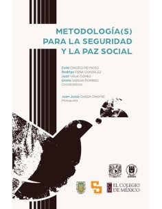 Metodología(s) para la seguridad y la paz social