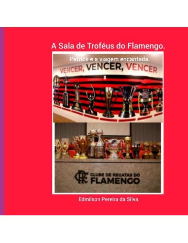 A Sala De Troféus Do Flamengo.:Patrick e a viagem encantada.